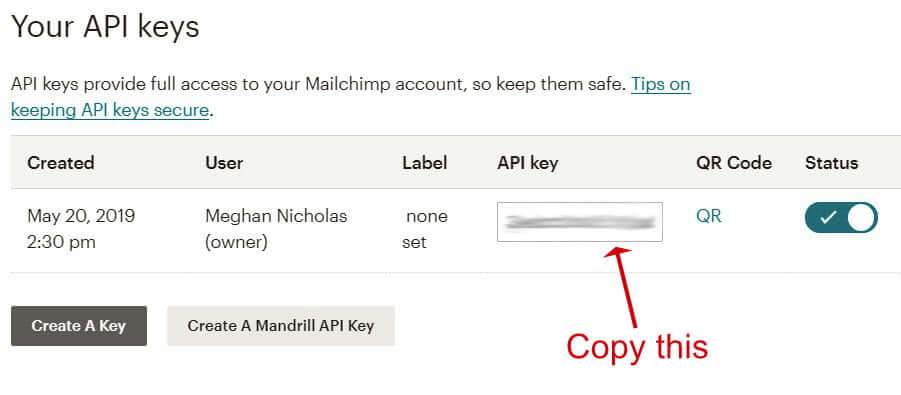 Mailchimp for WordPress - Copy API Key