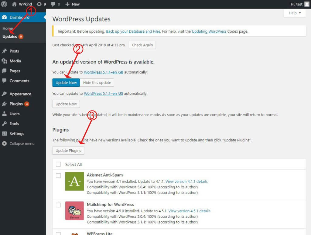 Update WordPress and plugins