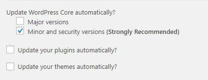 Advanced Automatic Updates plugin settings