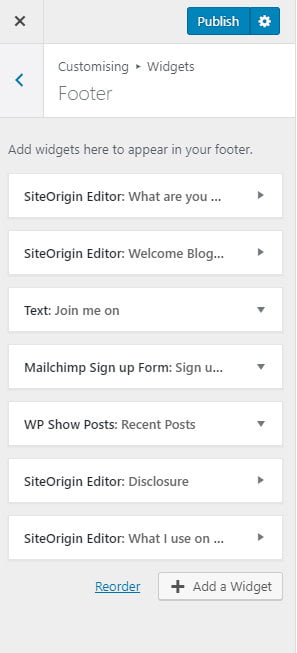 Editing widgets in the WordPress customiser