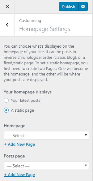 WordPress customiser homepage settings