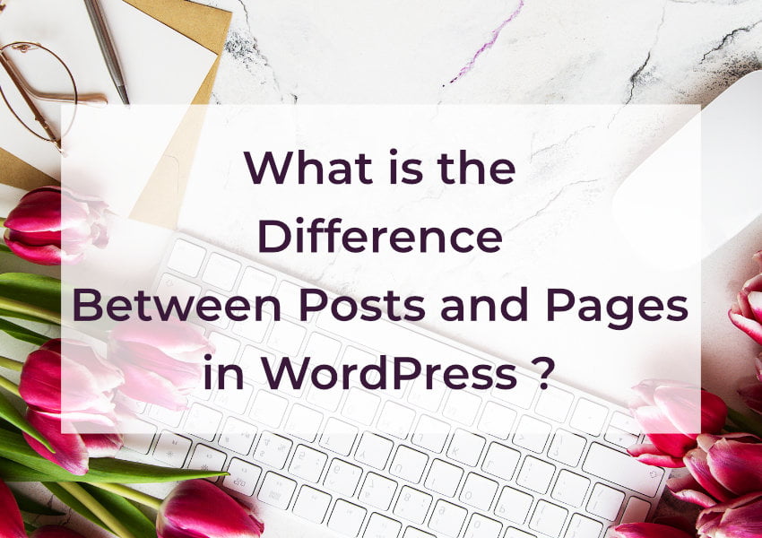 What is the Difference Between Posts and Pages in WordPress