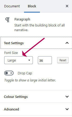 WordPress block text size setting