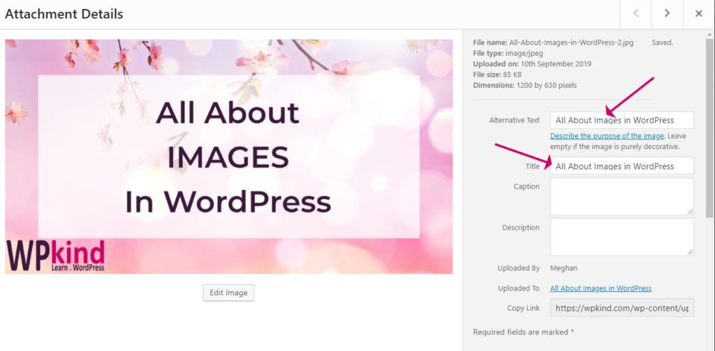 WordPress image properties