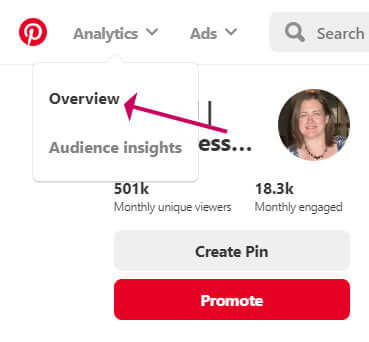 Pinterest Analytics Overview Link
