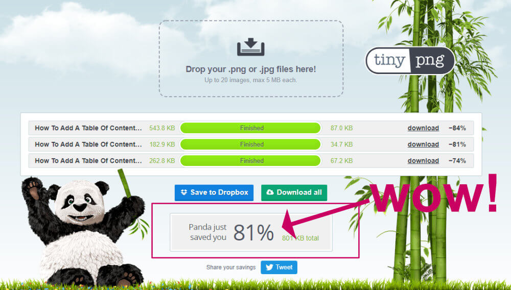 tinypng image compression with 81% saving