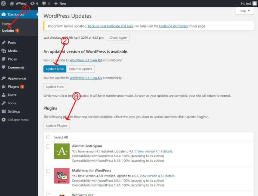 Update WordPress and plugins